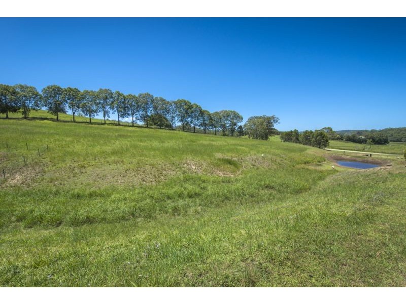 1 John Glyde Road, Bellingen NSW 2454