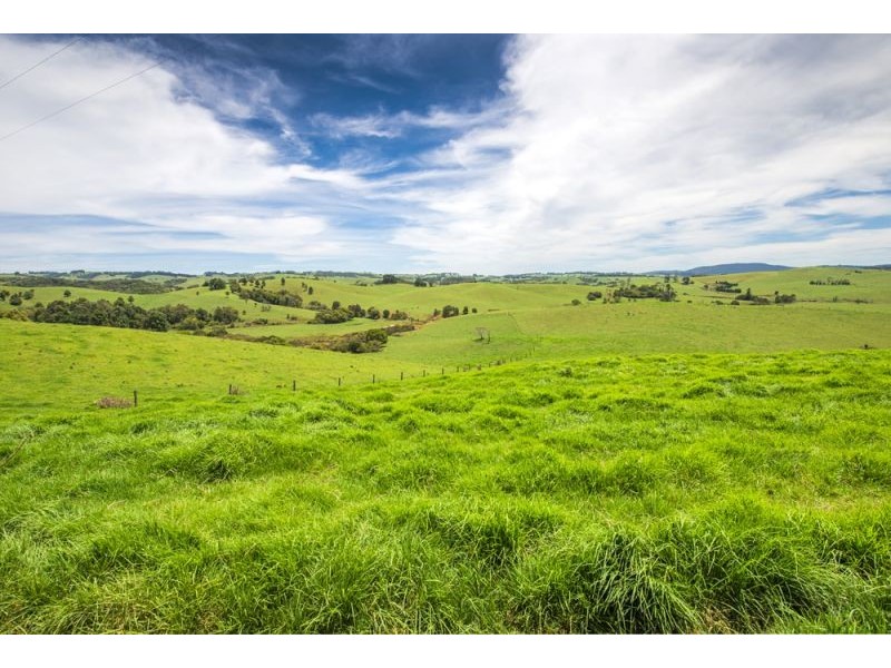 502 Rocky Creek Road, Dorrigo NSW 2453