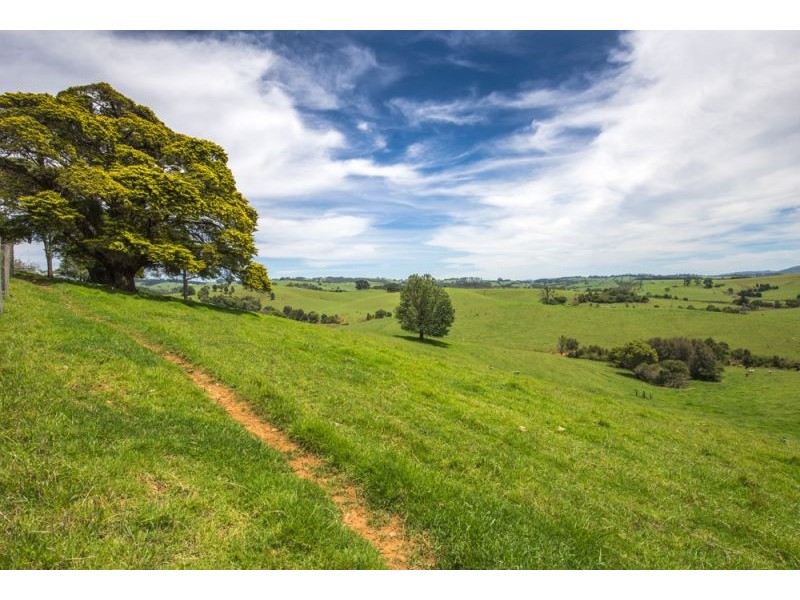 502 Rocky Creek Road, Dorrigo NSW 2453
