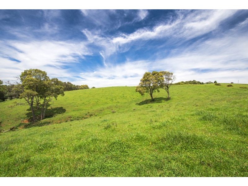 502 Rocky Creek Road, Dorrigo NSW 2453