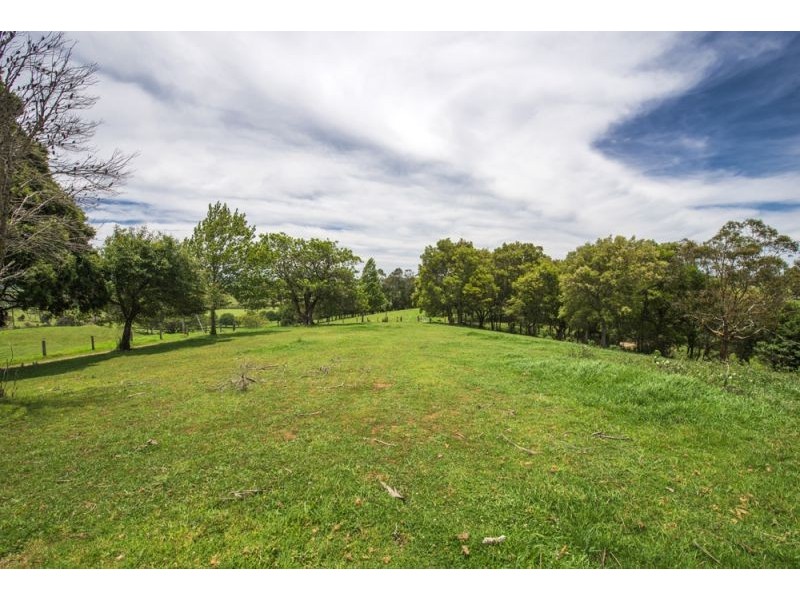 502 Rocky Creek Road, Dorrigo NSW 2453