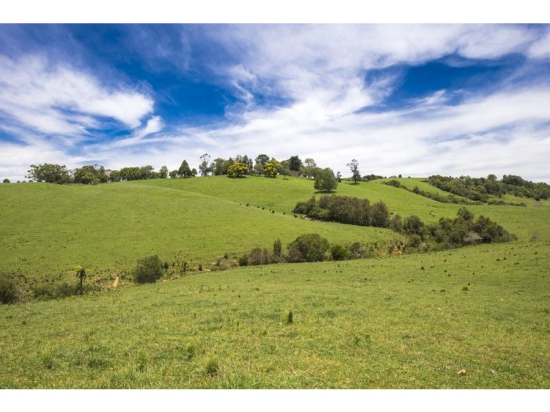 502 Rocky Creek Road, Dorrigo NSW 2453