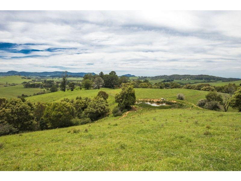 502 Rocky Creek Road, Dorrigo NSW 2453