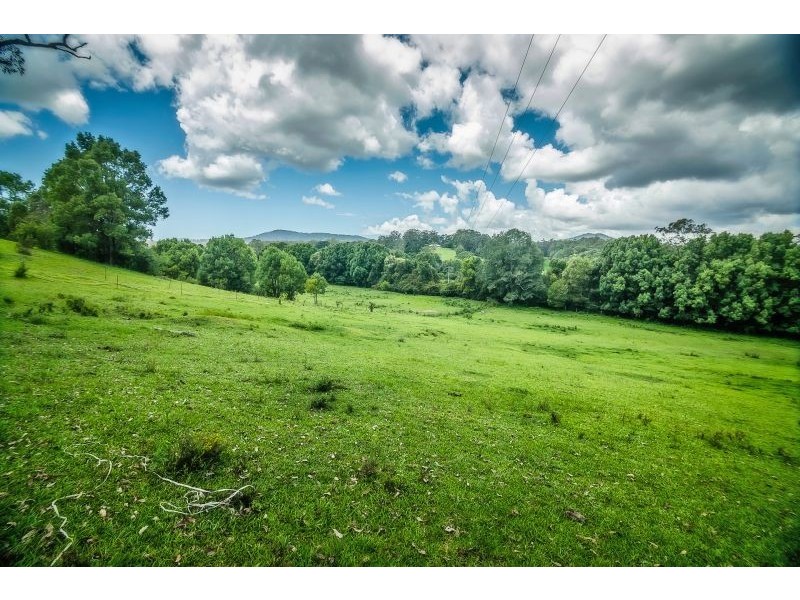 92 Hains Lane, Bellingen NSW 2454