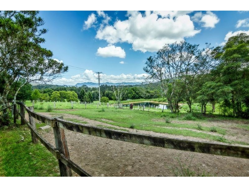 92 Hains Lane, Bellingen NSW 2454