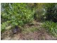 90 Rodgers Road East, Megan, Dorrigo NSW 2453