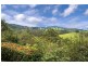 90 Rodgers Road East, Megan, Dorrigo NSW 2453