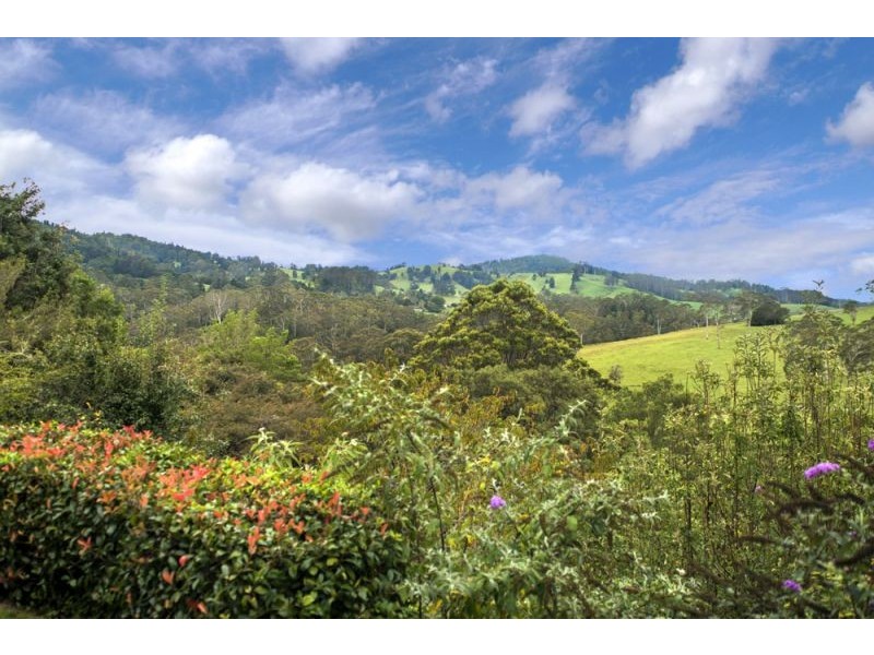 90 Rodgers Road East, Megan, Dorrigo NSW 2453