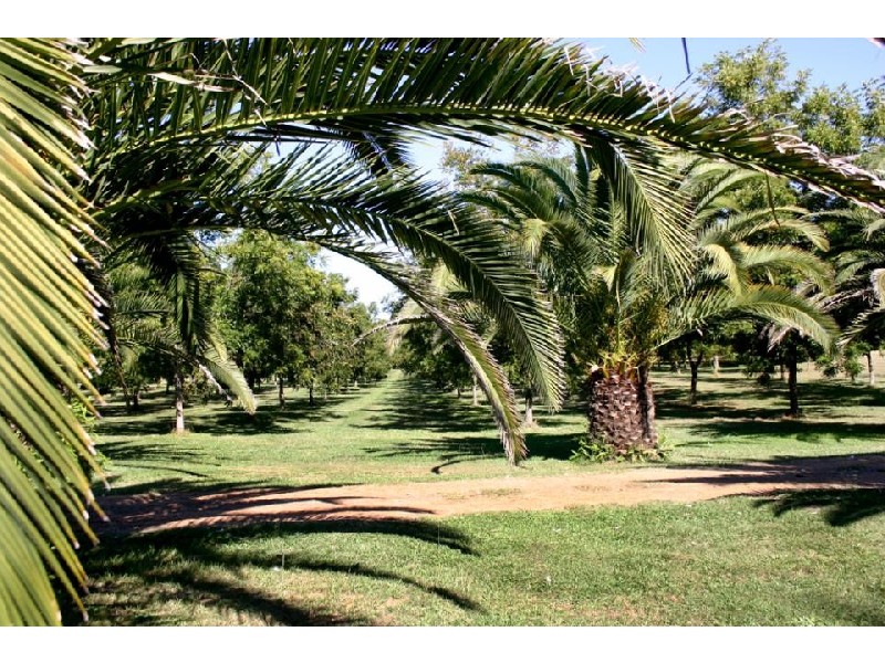 Coffs Harbour NSW 2450