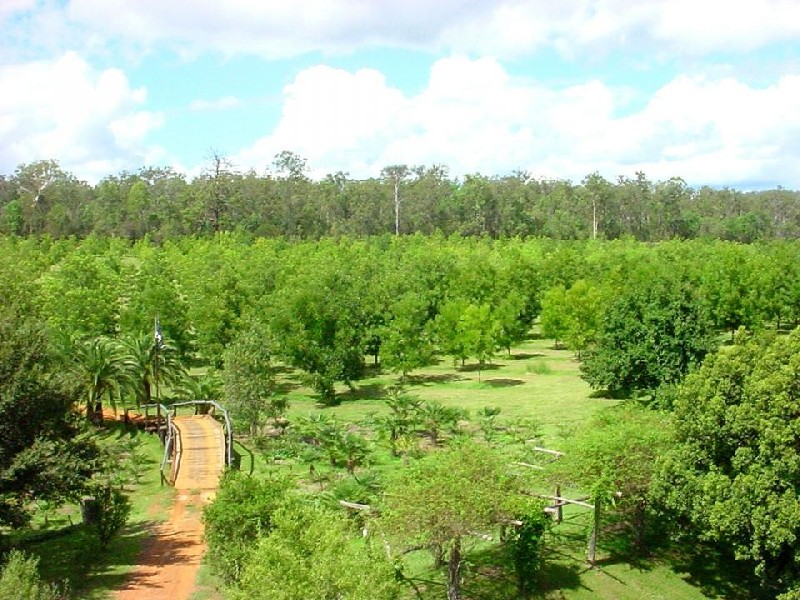 Coffs Harbour NSW 2450