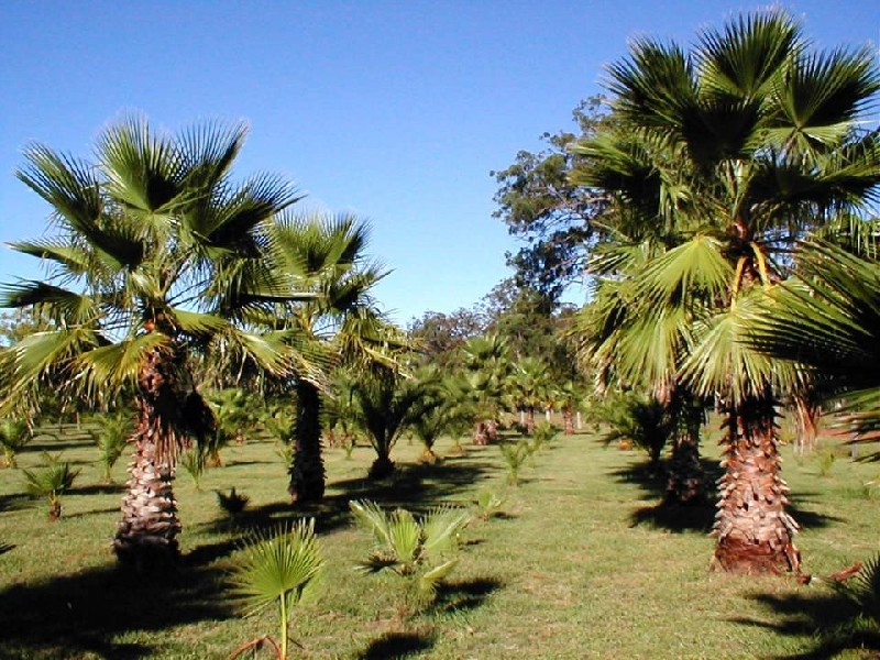 Coffs Harbour NSW 2450