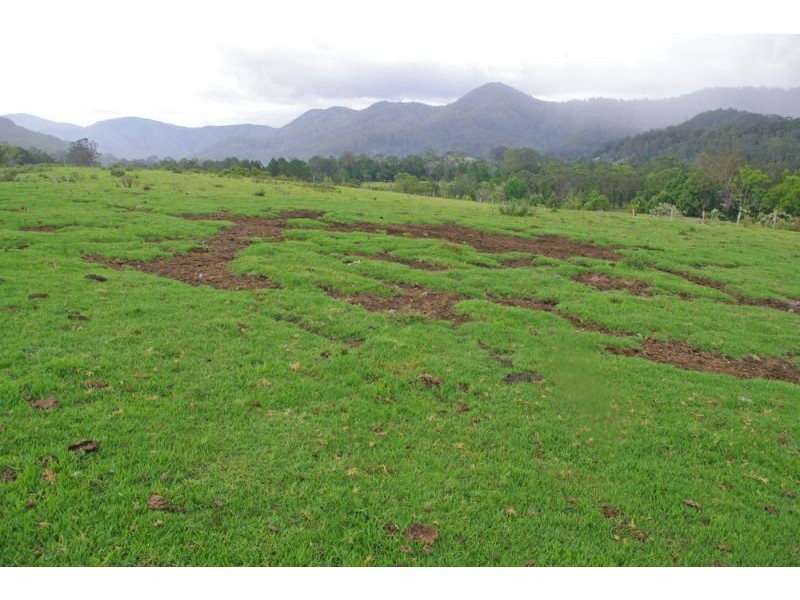 219a South Island Loop Rd, Upper Orara NSW 2450