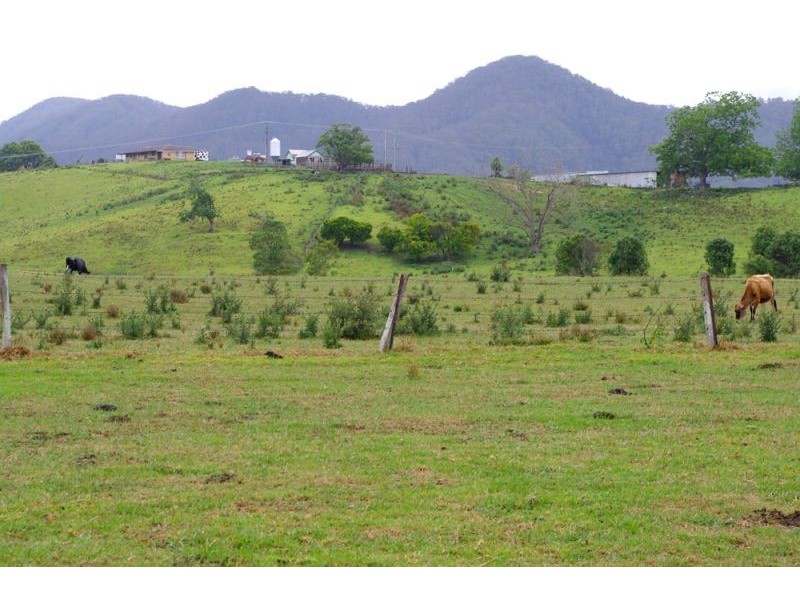 219a South Island Loop Rd, Upper Orara NSW 2450