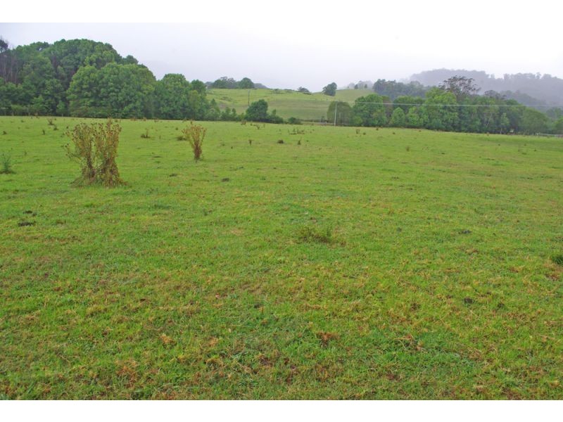 219a South Island Loop Rd, Upper Orara NSW 2450