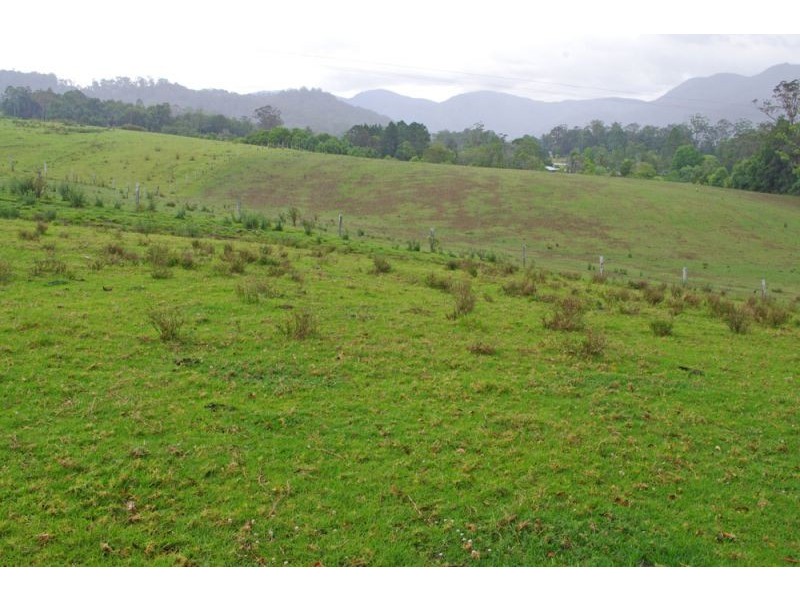 219a South Island Loop Rd, Upper Orara NSW 2450