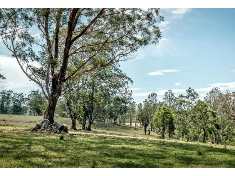 77 Moonpar Road, Bostobrick, Dorrigo NSW 2453