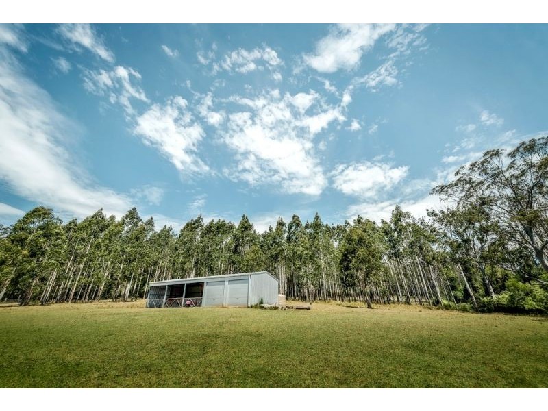 77 Moonpar Road, Bostobrick, Dorrigo NSW 2453