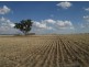 “Stanester”, Pallamallawa, Pallamallawa NSW 2399