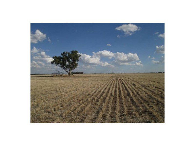“Stanester”, Pallamallawa, Pallamallawa NSW 2399