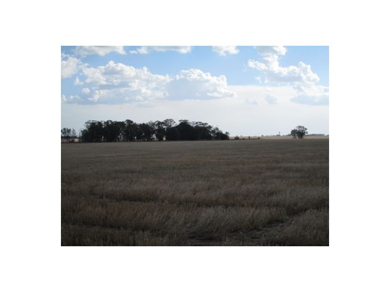 “Stanester”, Pallamallawa, Pallamallawa NSW 2399