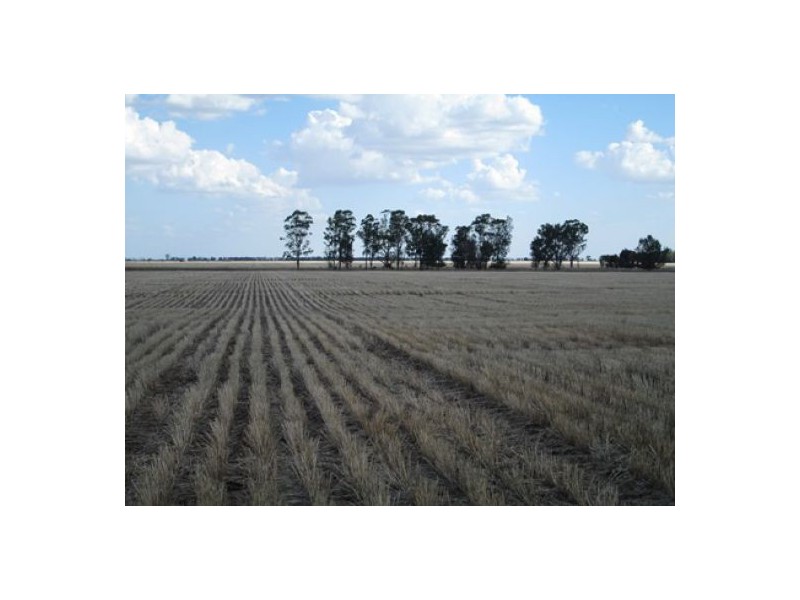 “Stanester”, Pallamallawa, Pallamallawa NSW 2399
