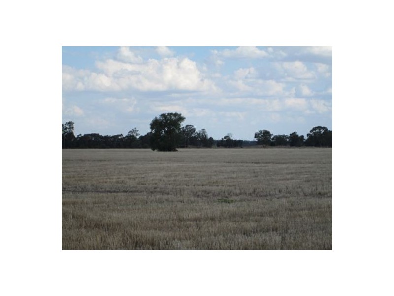 “Stanester”, Pallamallawa, Pallamallawa NSW 2399