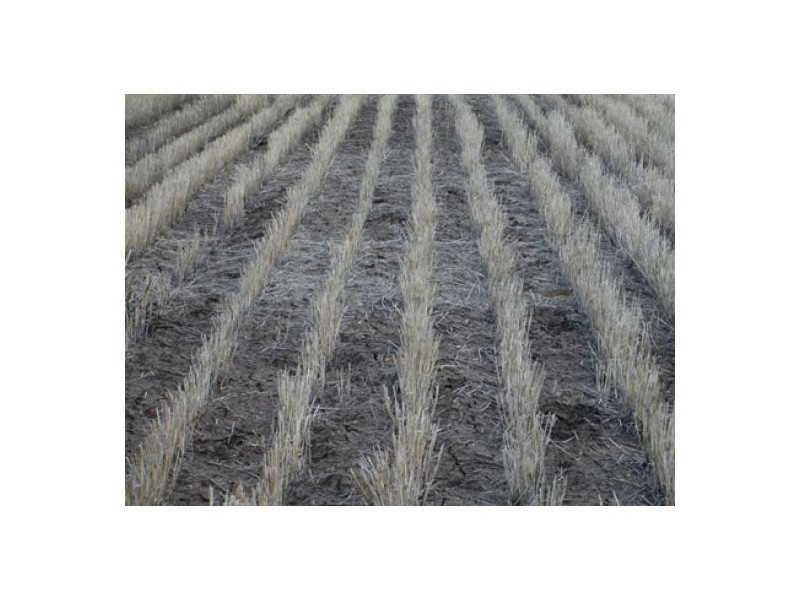 “Stanester”, Pallamallawa, Pallamallawa NSW 2399