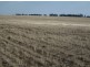 “Stanester”, Pallamallawa, Pallamallawa NSW 2399