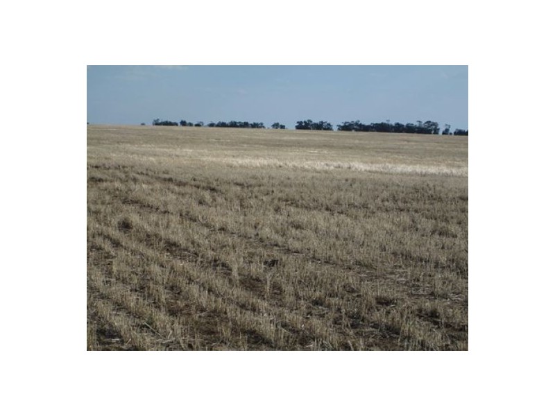 “Stanester”, Pallamallawa, Pallamallawa NSW 2399