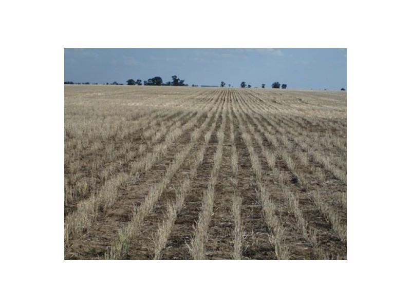 “Stanester”, Pallamallawa, Pallamallawa NSW 2399