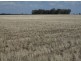 “Stanester”, Pallamallawa, Pallamallawa NSW 2399