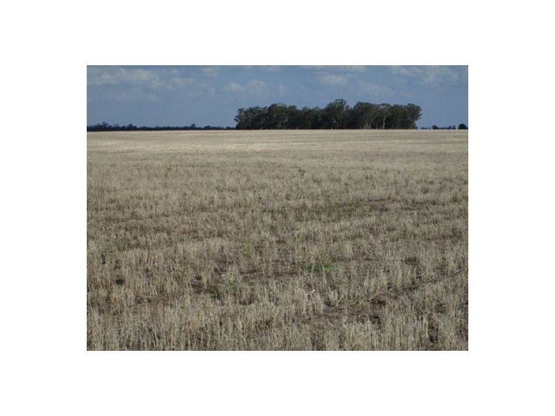 “Stanester”, Pallamallawa, Pallamallawa NSW 2399