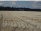 “Stanester”, Pallamallawa, Pallamallawa NSW 2399