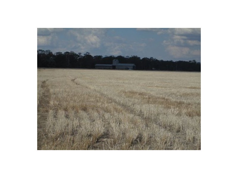 “Stanester”, Pallamallawa, Pallamallawa NSW 2399