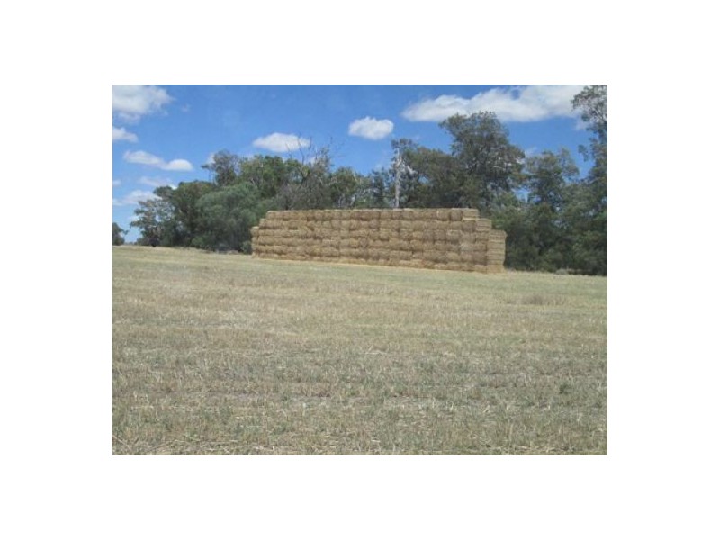 “Oaklands”,, Pallamallawa NSW 2399