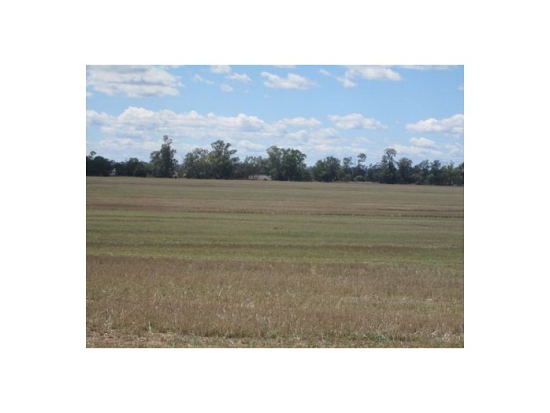 “Oaklands”,, Pallamallawa NSW 2399