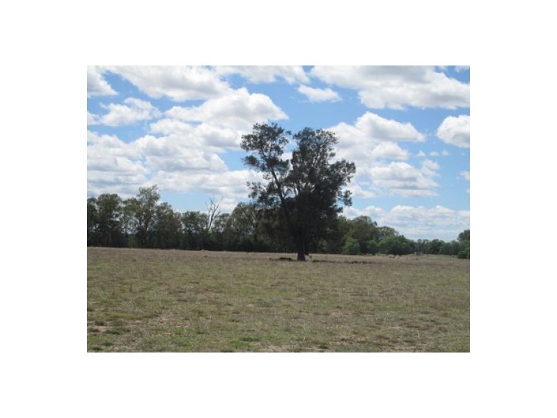 “Oaklands”,, Pallamallawa NSW 2399