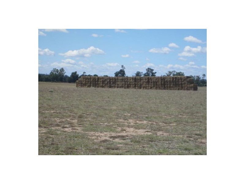 “Oaklands”,, Pallamallawa NSW 2399