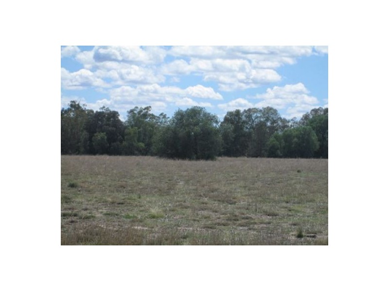 “Oaklands”,, Pallamallawa NSW 2399