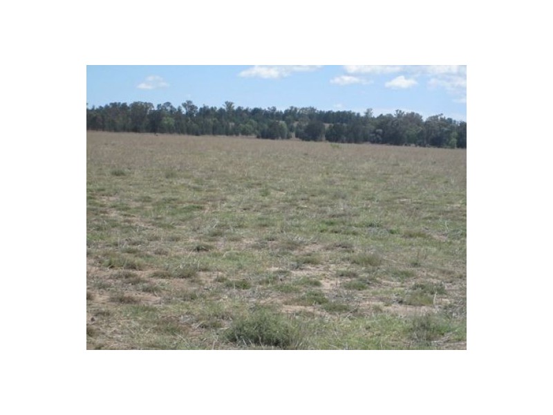 “Oaklands”,, Pallamallawa NSW 2399