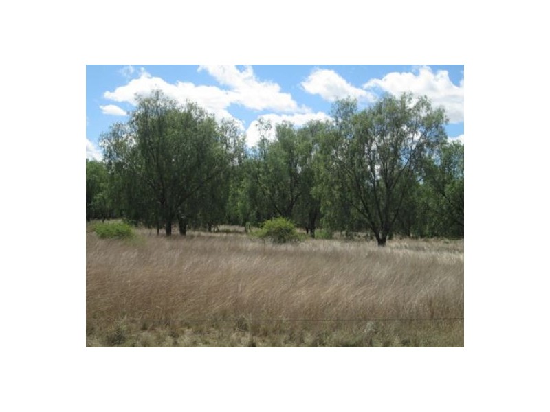 “Oaklands”,, Pallamallawa NSW 2399