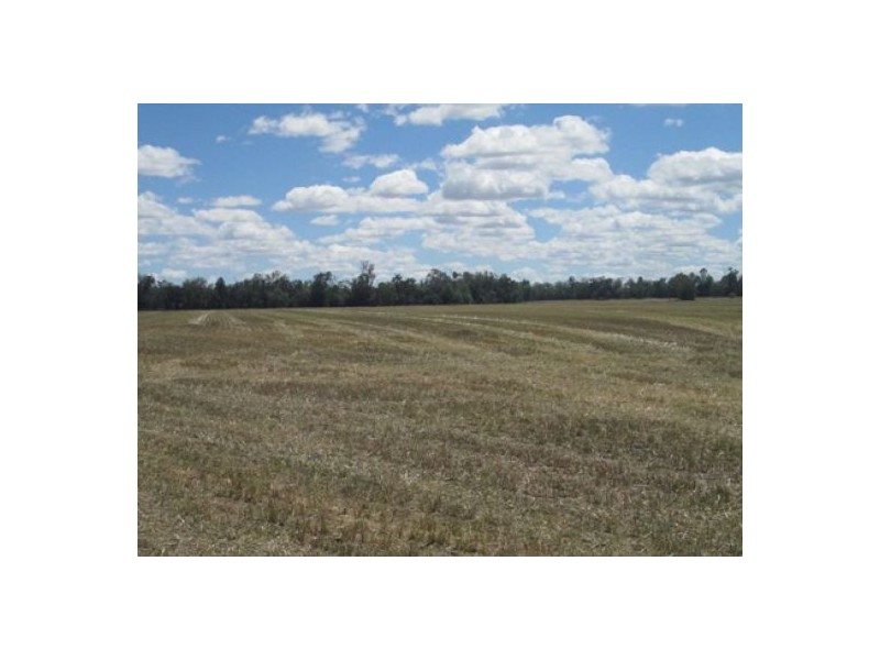 “Oaklands”,, Pallamallawa NSW 2399