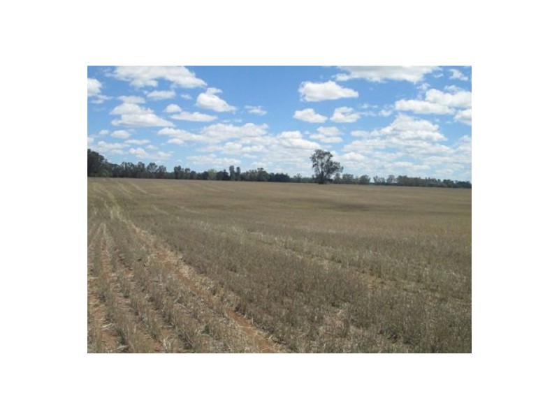 “Oaklands”,, Pallamallawa NSW 2399