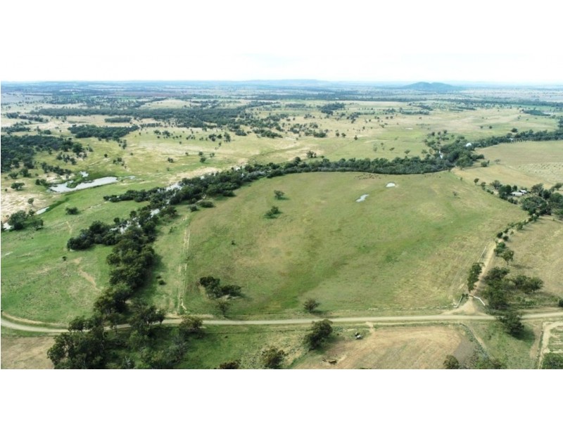 Oongarah, Pallamallawa NSW 2399