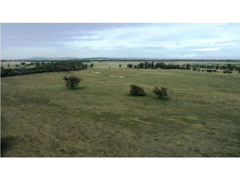 Oongarah, Pallamallawa NSW 2399