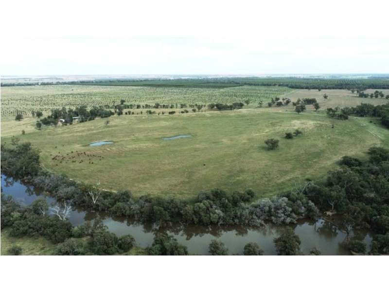 Oongarah, Pallamallawa NSW 2399