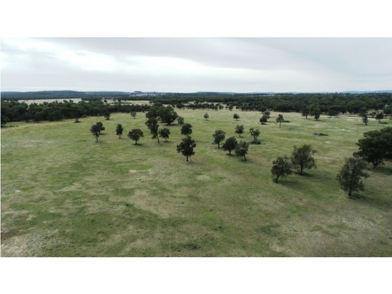 Oongarah, Pallamallawa NSW 2399