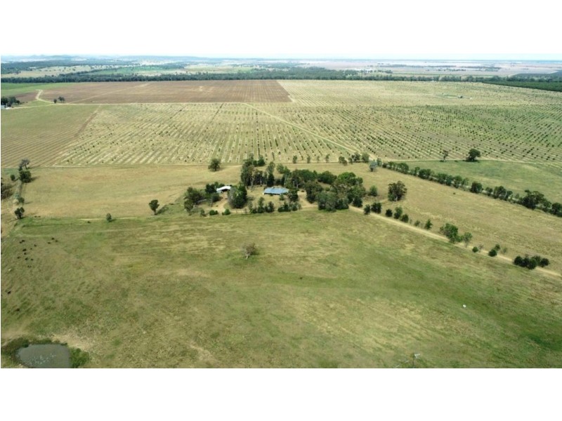 Oongarah, Pallamallawa NSW 2399