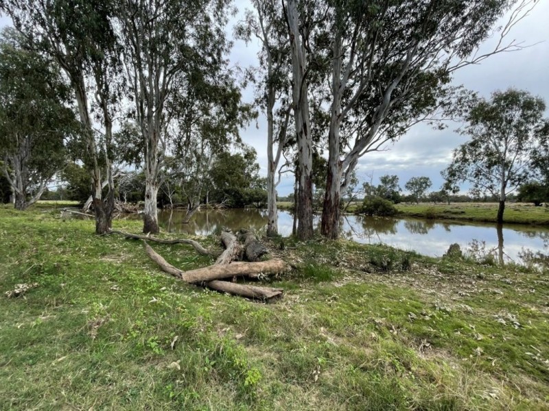 Oongarah, Pallamallawa NSW 2399