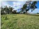 Oongarah, Pallamallawa NSW 2399